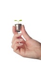 Pplunt growing out of electric light bulb. Eco Royalty Free Stock Photo