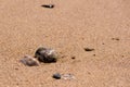 Praa Sands beach, Cornwall, United Kingdom