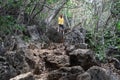 Prachuap Khiri Khan,Thailand-July 27,2020: Man hiking in mountains.Spring family vacation. Man on hike trail. Outdoor fun