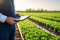 Practical Using tablet digital at agriculture field. Generate Ai