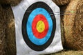 Colorful target template for sport shooting competition. Used target with color circles on shooting range against hay bales Royalty Free Stock Photo