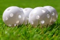 Practise golfing balls Royalty Free Stock Photo