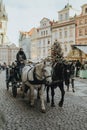 Praga horse new year two horse