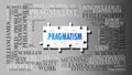 Pragmatism as a complex subject, related to important topics spreading around as a word cloud