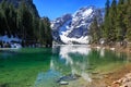 Pragser Wildsee Royalty Free Stock Photo