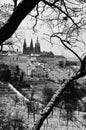 Prague castle, Cathedral of St. Vitus, Prague Royalty Free Stock Photo