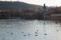 Prague city and white swans on water Royalty Free Stock Photo