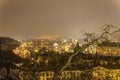 Prague cityscape in winter at night from Prague castle with a large barren tree in the front Royalty Free Stock Photo