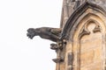 Close up view of gargoyle in the Cathedral church Sacred Vitus. Prague, Czech Republic