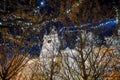 Prague, Czech republic - December 29, 2021. Night photo of Old Town Square without Christmas markets banned due Coronavirus caused Royalty Free Stock Photo