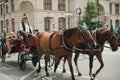 PRAGUE, CZECH REPUBLIC, July 25, 2016 Carriage for tourists on the background of a historic building. Horse carriage on the street