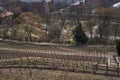 Prague, Czech Republic - March 26, 2021 - Grebovka park- The vineyard with a romantic gazebo lies on a steep slope Royalty Free Stock Photo