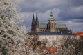 Prague, Czech Republic, 26 March 2023: Panorama of old town from Petrin Hill, Red roofs, Cloudy spring day, High spires medieval