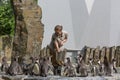 PRAGUE, CZECH REPUBLIC, MAY 2017: Woman in the prague zoo is feeding penguins