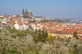 Prague hradcany castle Royalty Free Stock Photo