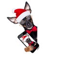 Prague ratter dog christmas selfie santa claus Royalty Free Stock Photo