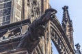 Prague Saint Vitus Cathedral Gargoyle Statues Royalty Free Stock Photo