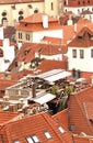 Prague tile roofs