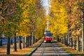 Prague tram in autumn