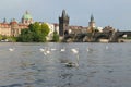 Prague. View of the Vltava River and Karlov Bridge