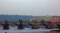 Charles bridge in Praha and floating on the river swans