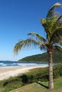 Praia Brava - FlorianÃÂ³polis, Santa Catarina - Brasil