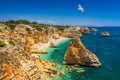 Praia da Marinha, beautiful beach Marinha in Algarve, Portugal. Navy Beach Praia da Marinha with flying seagulls over the beach Royalty Free Stock Photo