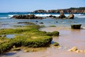 Praia da rocha beach,portugal-algarve