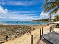 Praia do Forte, Brazil - Jan 10, 2024: White sand beach, clear water and palm trees in Praia do Forte at Bahia, Brazil