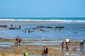 Praia do Forte, Brazil - Jan 10, 2024: White sand beach, clear water and palm trees in Praia do Forte at Bahia, Brazil