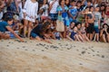 People observing baby turtles on Tamar project at Praia do Forte in Brazil