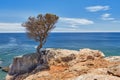 Praia do Zavial, Algarve, Portugal Royalty Free Stock Photo