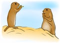 Prairie dog