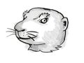 Prairie Dog Endangered Wildlife Cartoon Retro Drawing