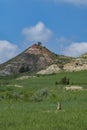 Prairie Dog at Theodore Roosevelt National Park in North Dakota