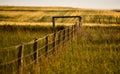 Prairie Fence Line Royalty Free Stock Photo