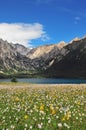 Prairie full of flowers ,High Mountain and Lake Cuopu Royalty Free Stock Photo