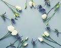 Prairie Gentian Flowers and Amethyst Sea Holly Flowers on paper background