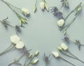 Prairie Gentian Flowers and Amethyst Sea Holly Flowers on paper background