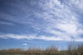 Background blue sky picture of prairie grasslands. Royalty Free Stock Photo