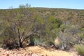 prairie - kalbarri - western australia