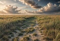 Prairie lands, with a sea of grass waving under a vast sky.