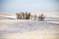 Prairie Landscape in Winter Royalty Free Stock Photo