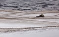 Prairie Landscape in winter Royalty Free Stock Photo