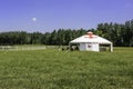 The prairie and mongolian yurt