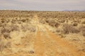 A prairie road in New Mexico