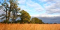 Prairie scene in Illinois