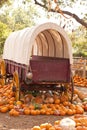 Prairie Schooner Wagon Royalty Free Stock Photo