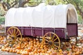 Prairie Schooner Wagon Royalty Free Stock Photo