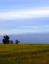 Prairie seeders with mountains